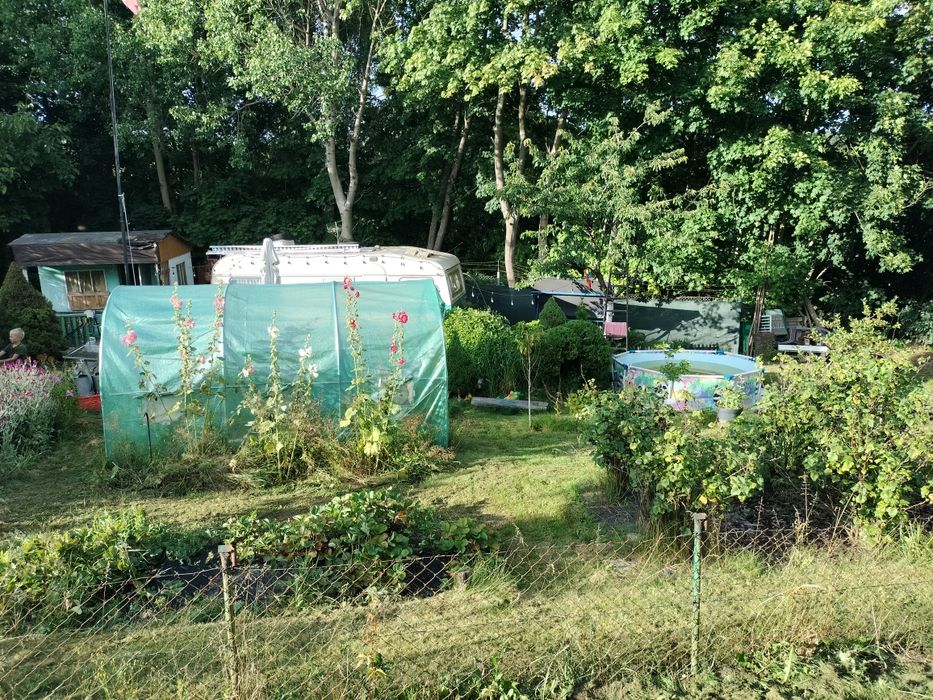 Działka ROD w Straszynie