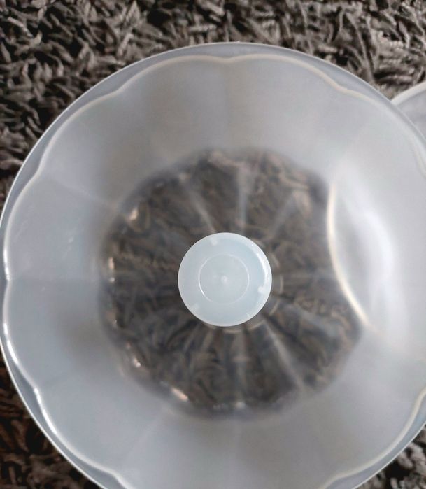 Pudding Mold441033498317957123