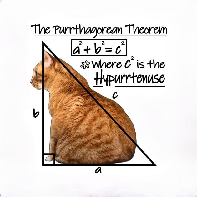 matematyka (MATURA, szkoła podstawowa, średnia i studia)
