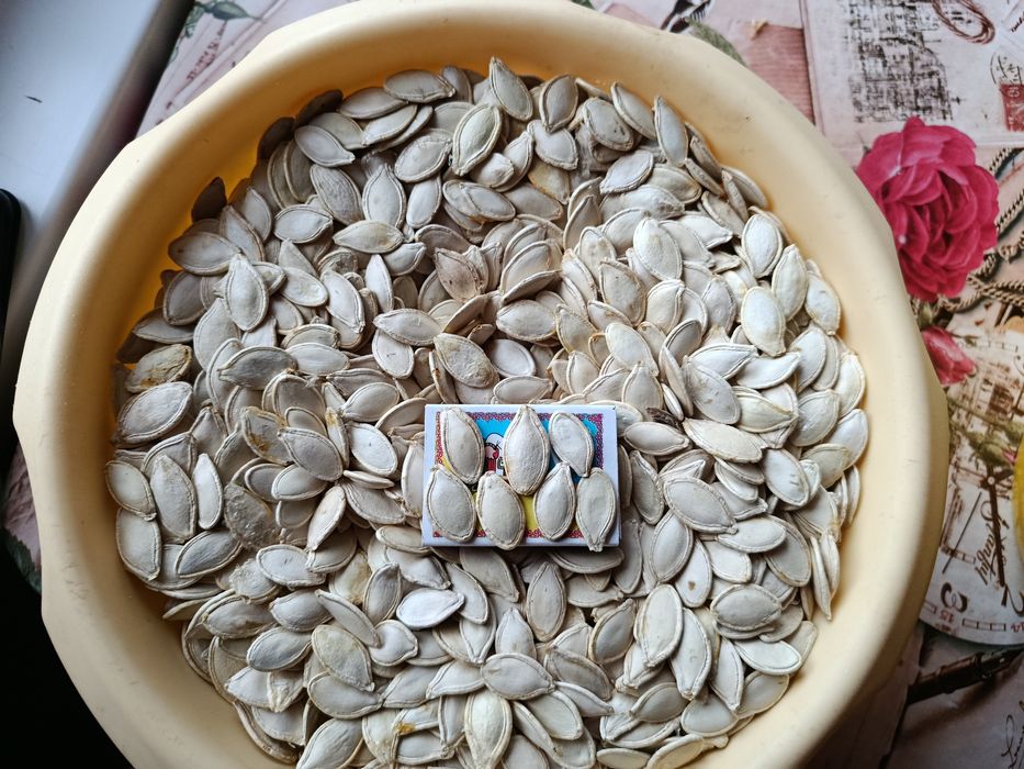 Гарбузове насіння смачне та корисне