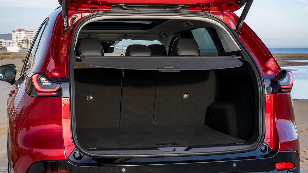 Zdjęcie w galerii numer 10