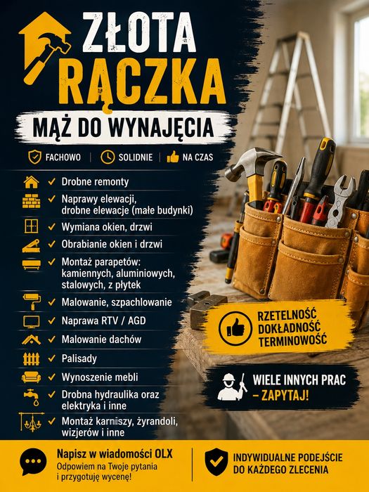 Złota rączka/ Mąż do wynajęcia