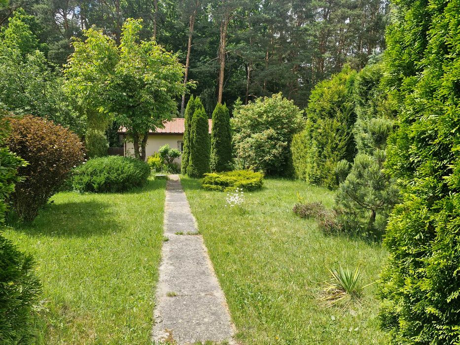 Działka ROD z domkiem Pawlikowice
