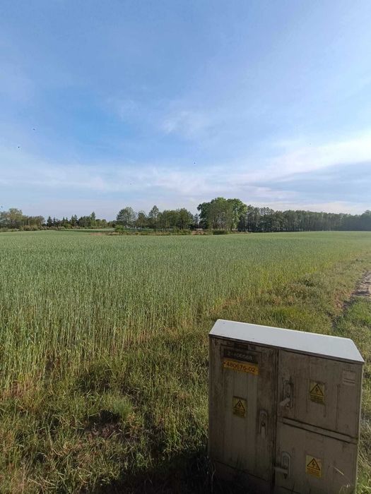 Działki rekreacyjne  w Powidzkim Parku Krajobrazowym