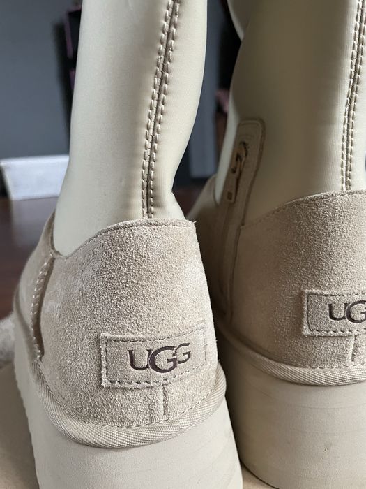 ugg w tazz оригінал уггі