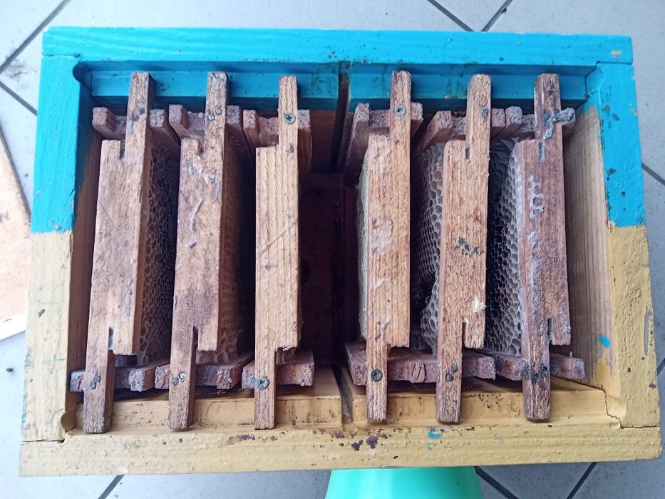 Продам Нуклеуси Двухмісні