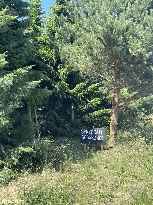 Zdjęcie 3