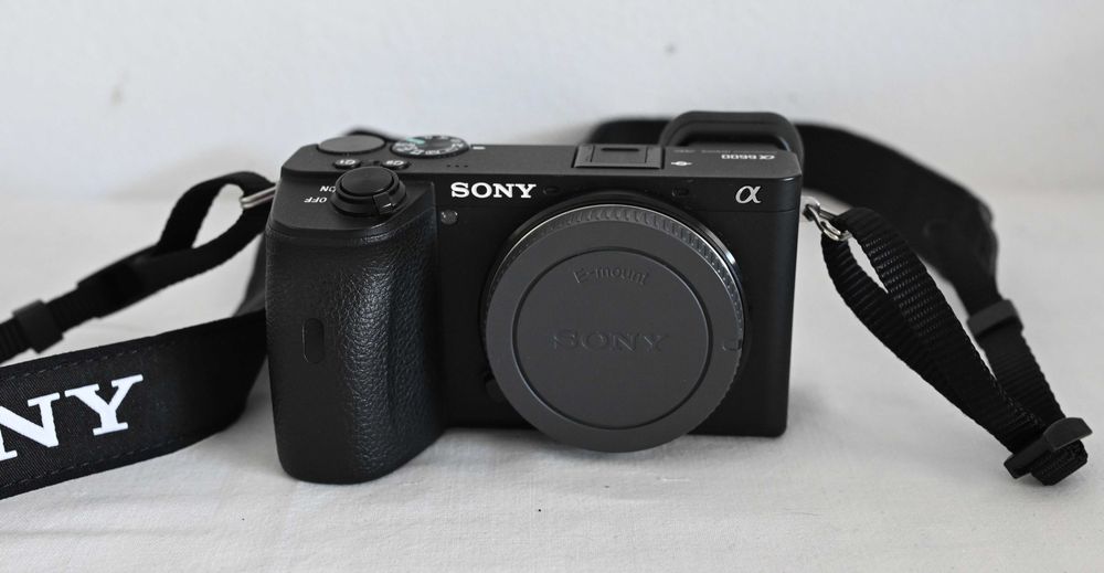 Sony Alpha a6600