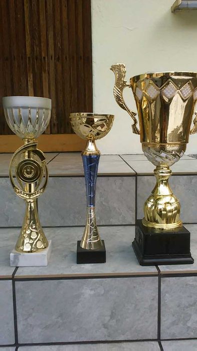Puchary sportowe