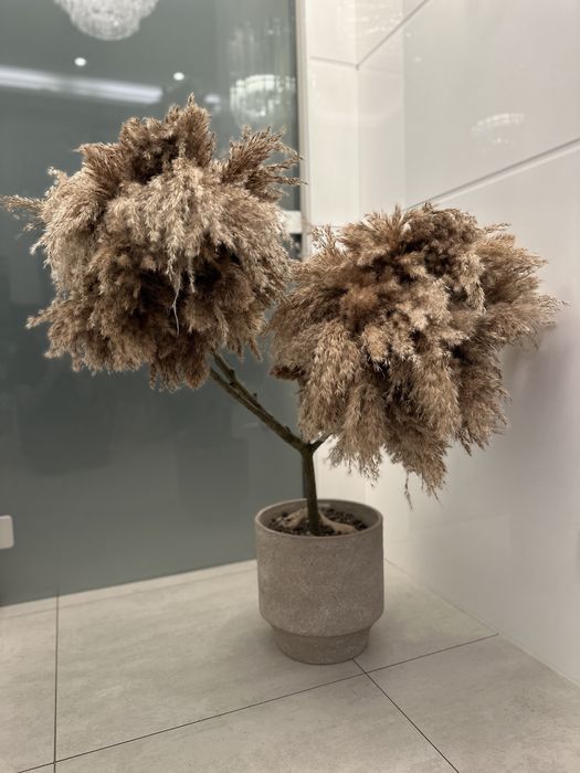 Drzewko dekoracyjne, pampas