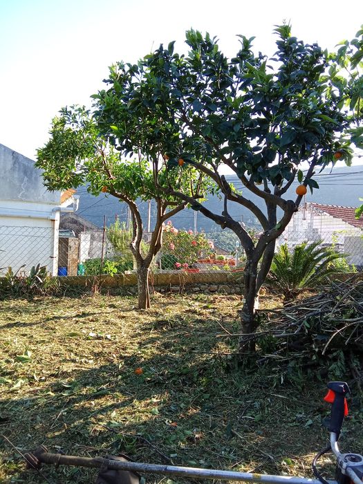 Limpeza de terrenos,jardins entre outros