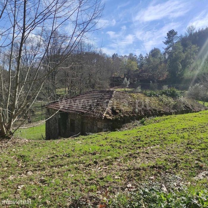 Quinta em Arnóia - Celorico de Basto