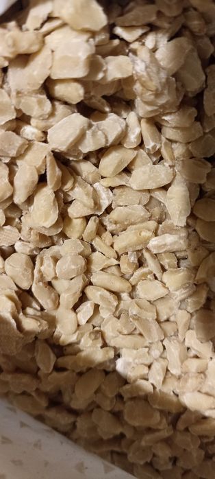 Жмых кедрового ореха ,макуха кедру ,кедровый жмих після віджиму олії