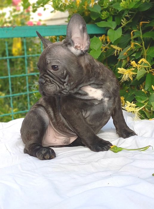 Мальчишка ждет семью