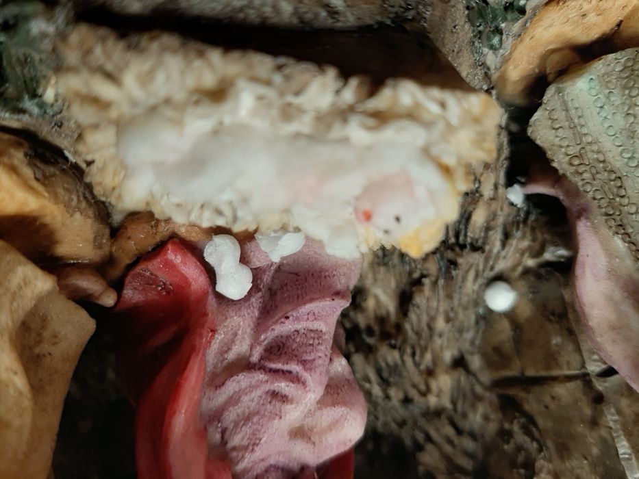 Presépio em barro - Decoração Natal