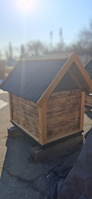 Деревянная будка для средних собак.