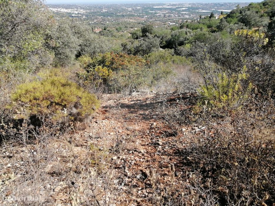 Terreno  para venda