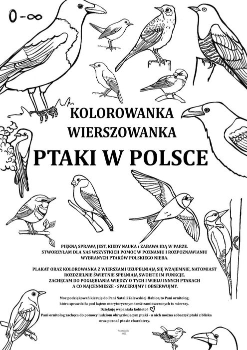 Plakat "Ptaki w Polsce" A2 autorski + gratis