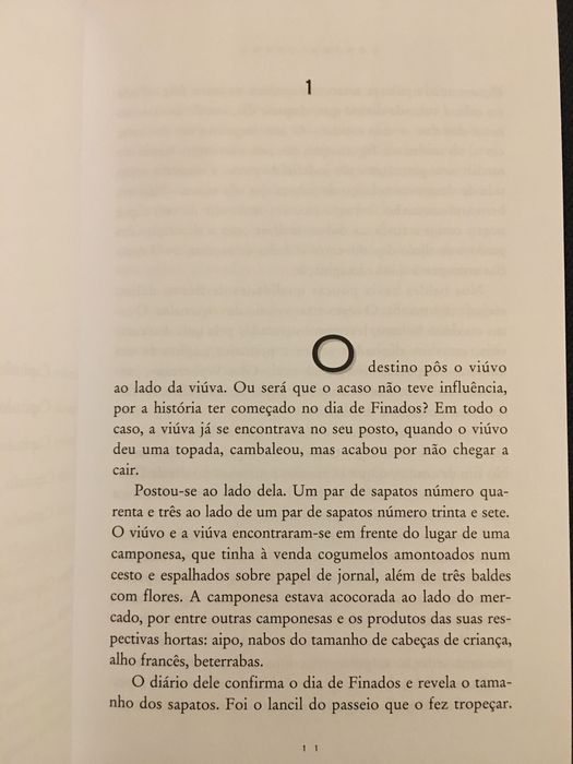 Stig Dagerman/A.  Schwarzenbach/ E. Junger/ G. Sebald /G. Grass