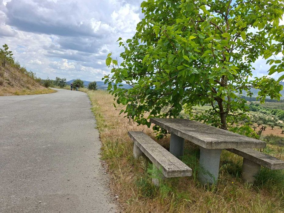 Terreno 8.200 m² — 4 parcelas rústicas com frente de estrada, perto da albufeira Açafal | Vila Velha de Ródão
