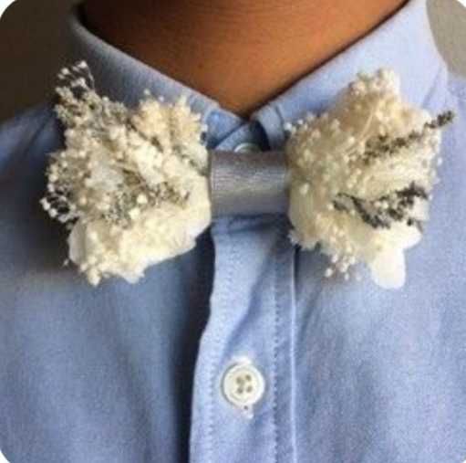 Naturalna Mucha do koszuli 5 wersji