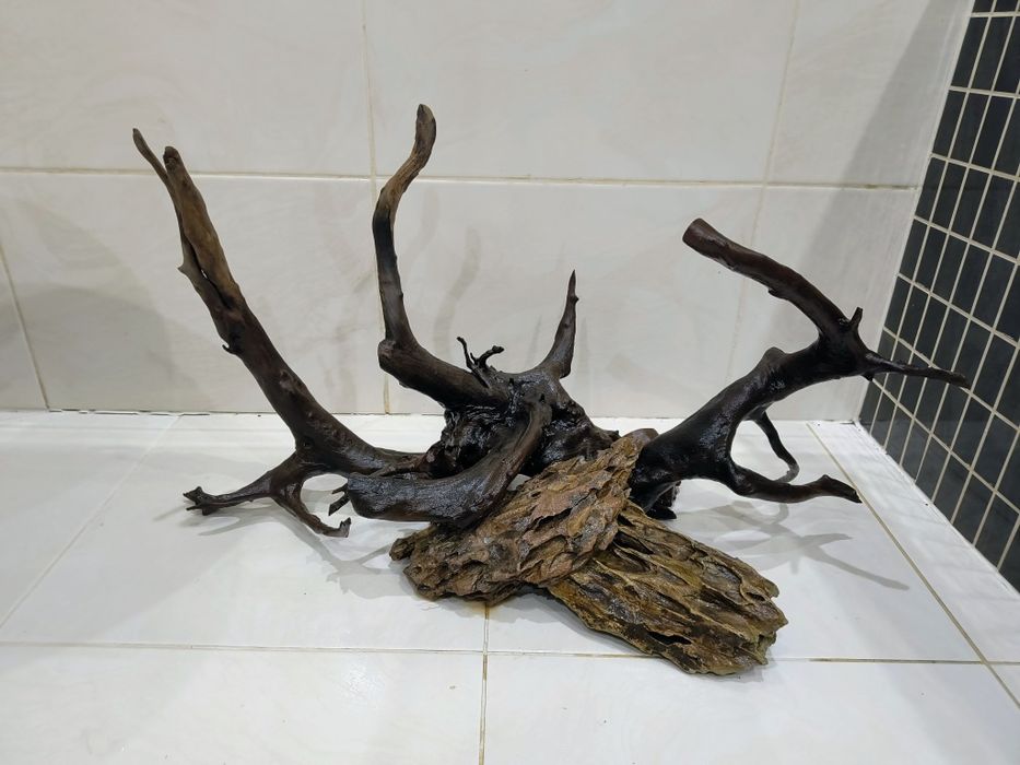 Korzeń i Kamienie.Gotowa aranżacja akwarium