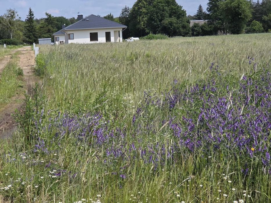 Działka budowlana Goławice Pierwsze