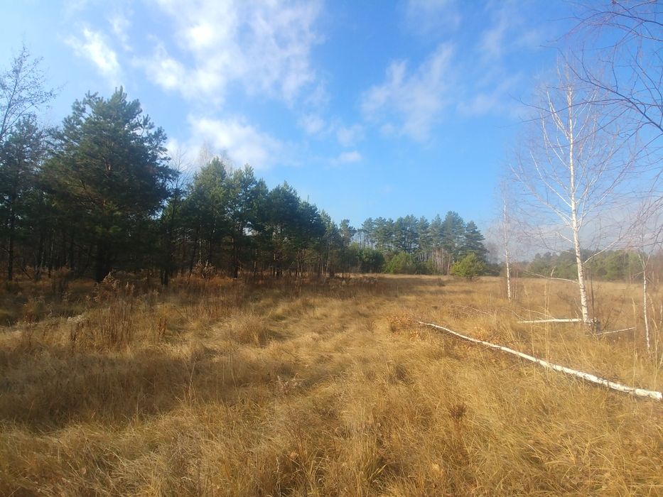 Продажа участок  с.Ястребна 0.27га ОСГ