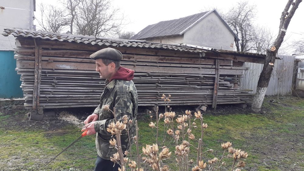 Продам дерево на перекриття мудрина