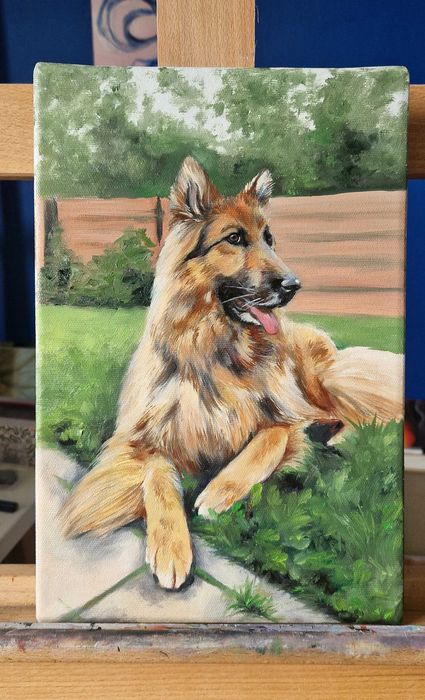 Obraz olejny Owczarek niemiecki 20x30cm