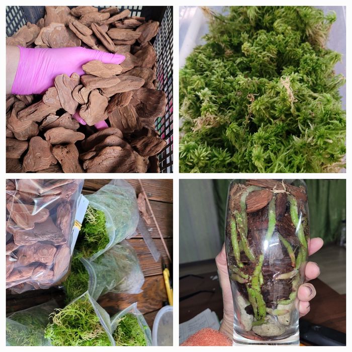 Кора галтована, мох, кокочіпси та інше.