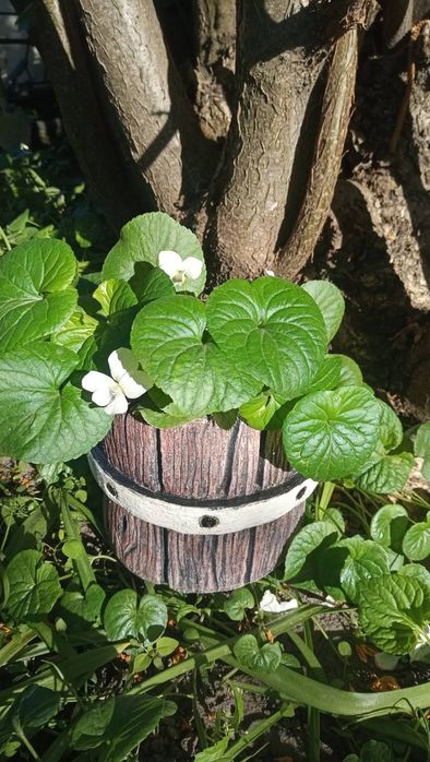 Горшки для цветов