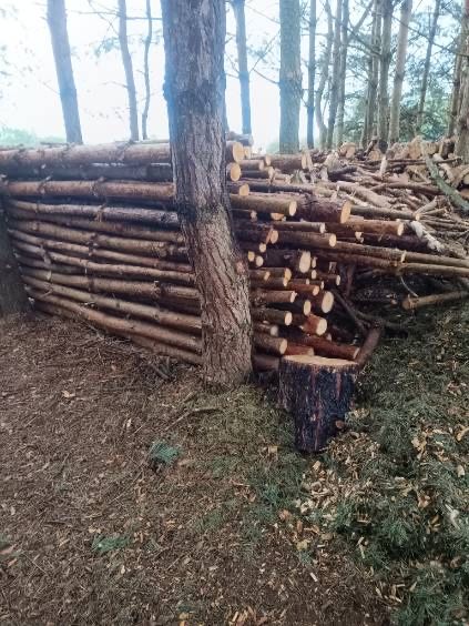 Drewno na opał drewno opałowe