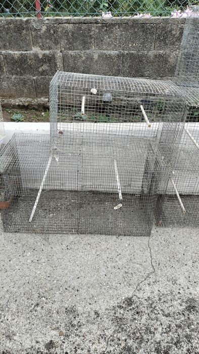 Gaiolas para aves