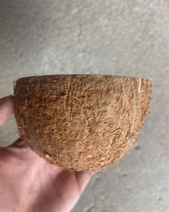 Vendo metades de casca de coco