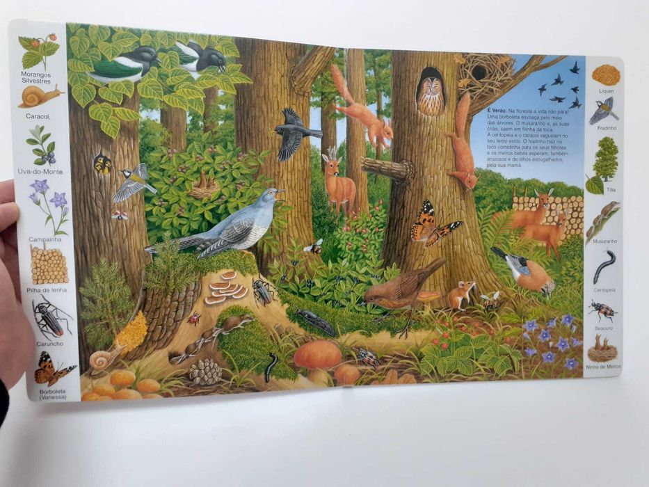 Livro Os Animais no Bosque