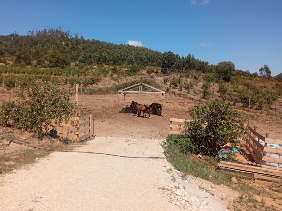 Quinta com 4000m
