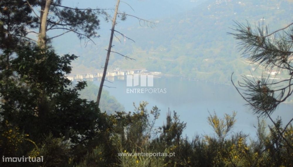 Venda Terreno, São Cristóvão de Nogueira, Cinfães