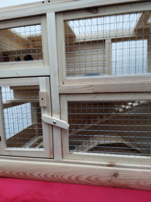 Клітка-будинок для морських свинок.