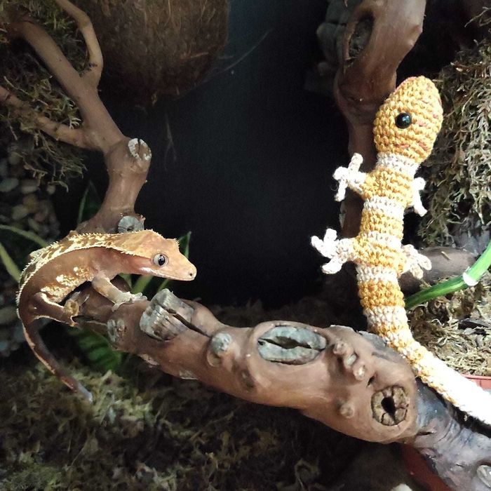 Amigurumi animal de estimação