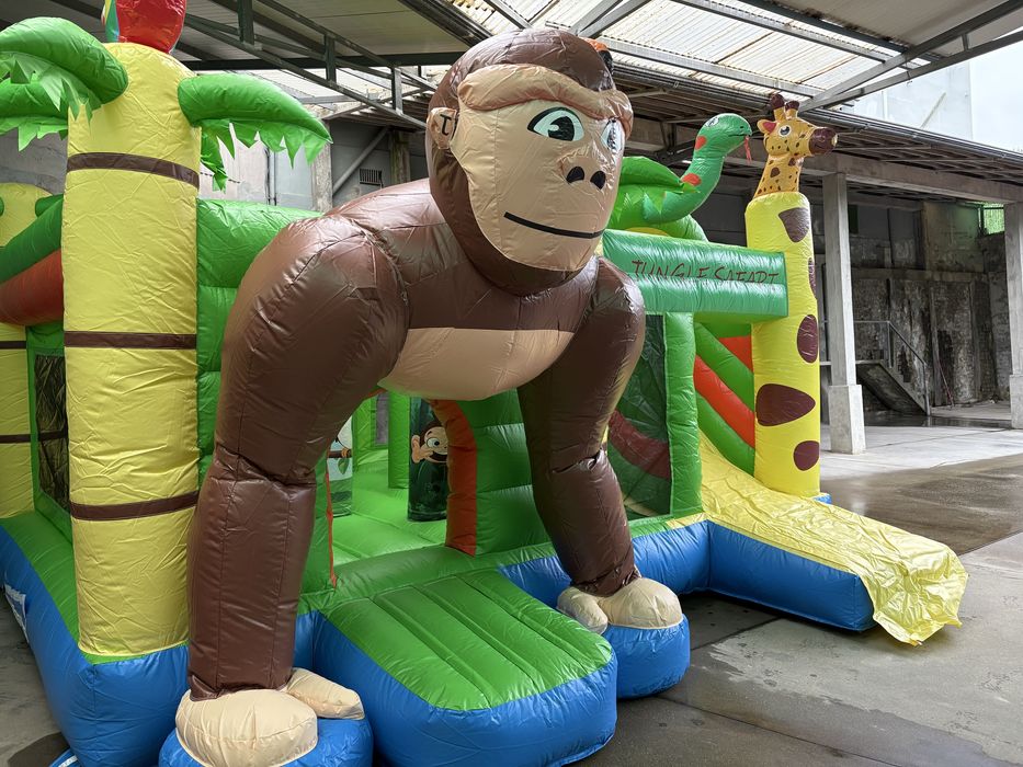 Insufláveis Aluguer