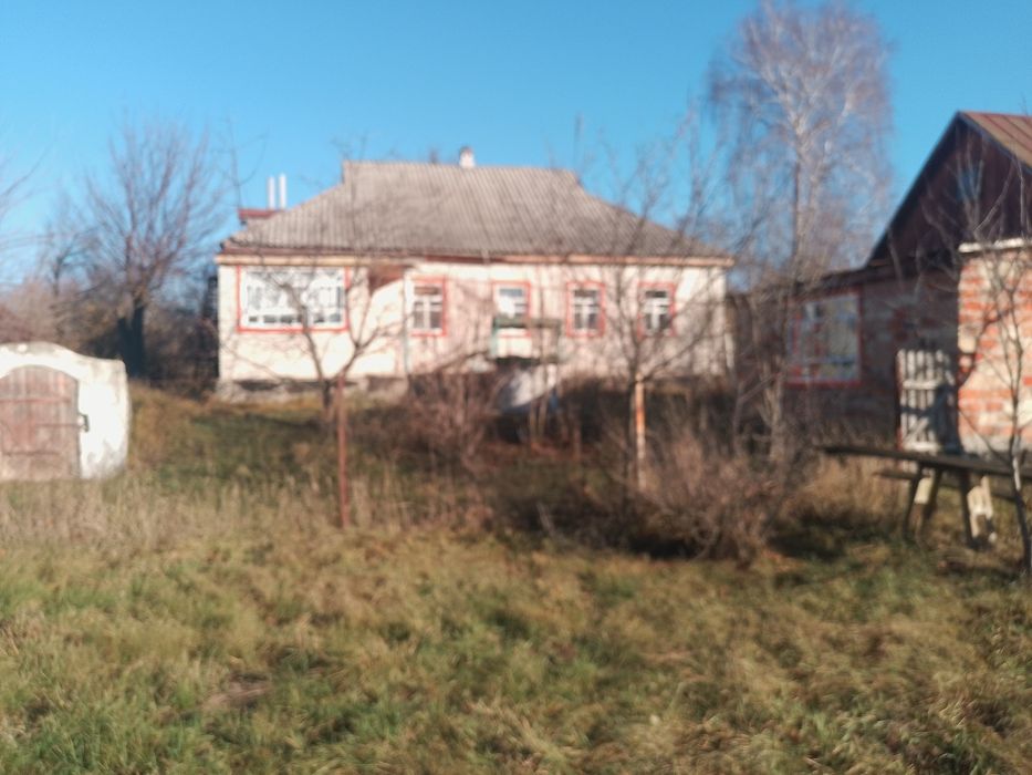 Будинок в селі Балаклея Черкаська область