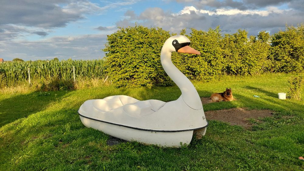 Duży rower wodny Łabędź