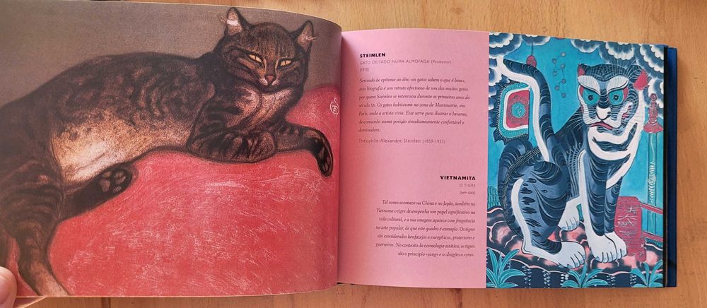 Gatos Selvagens e Felinos Mimados