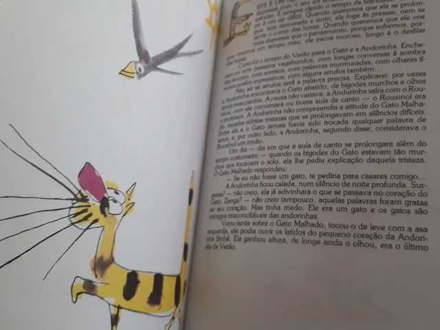 O Gato Malhado e a Andorinha Sinhá | Jorge Amado