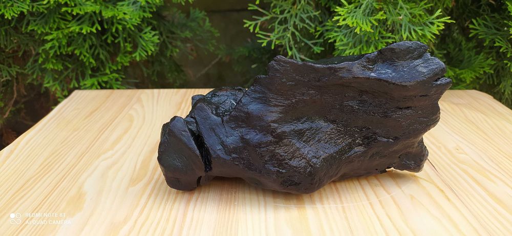 Korzeń do akwarium.