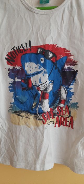 Bluzka t-shirt z rekinem rozm 134