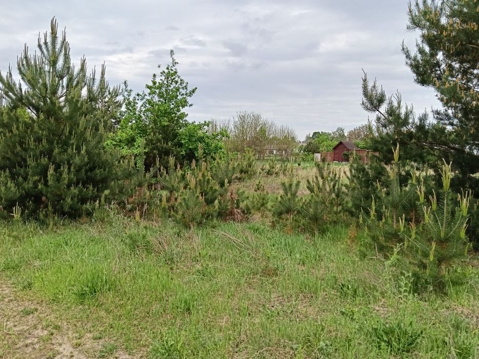 Продаж земельної ділянки під будівництво