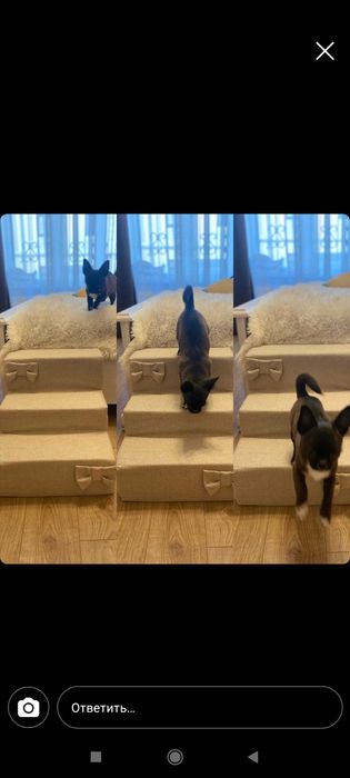 Сходи приліжкові/ пандус шоколадного кольору