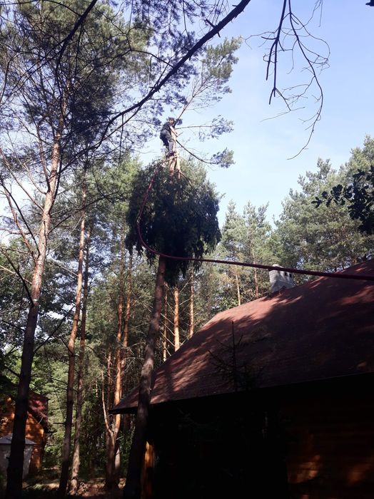 Kompleksowe Usługi Porządkowe